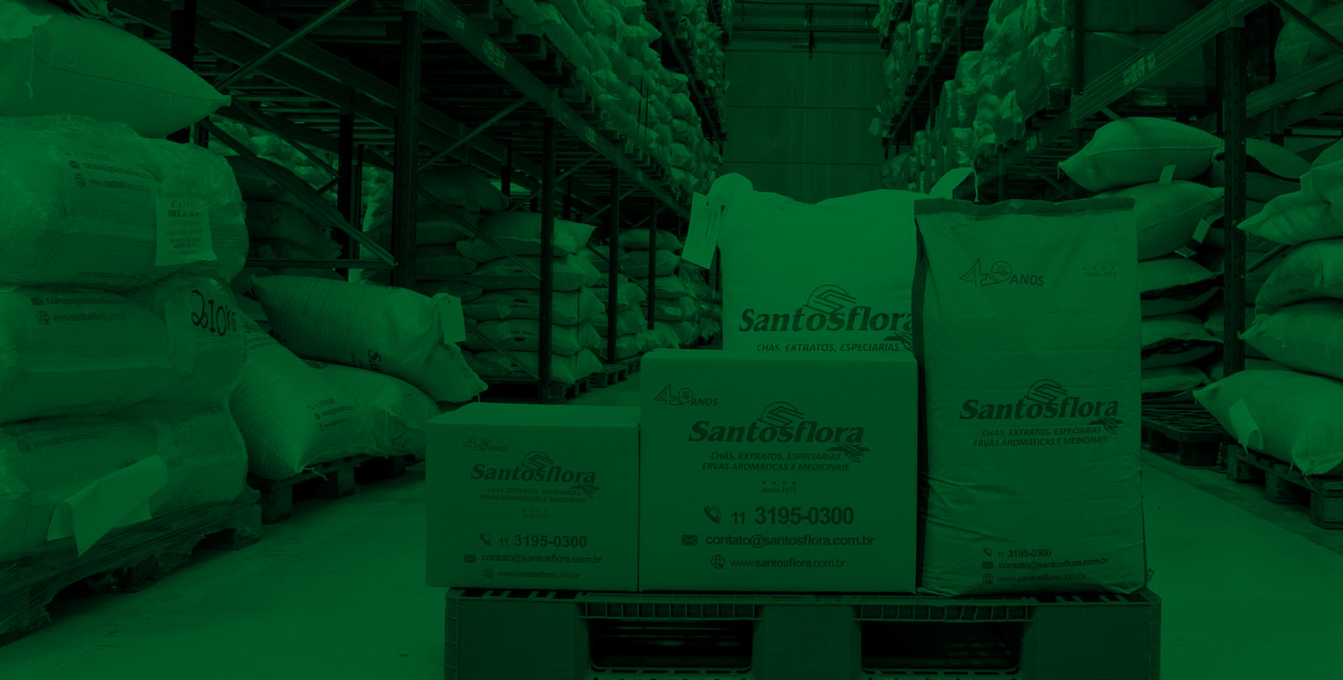 santos-flora-home-slide-2-1920px